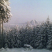 Der Rennsteig