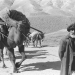 Afghanistan. Das verwundete Land