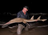 Chasing Monsters - Monsterfischen auf der Spur