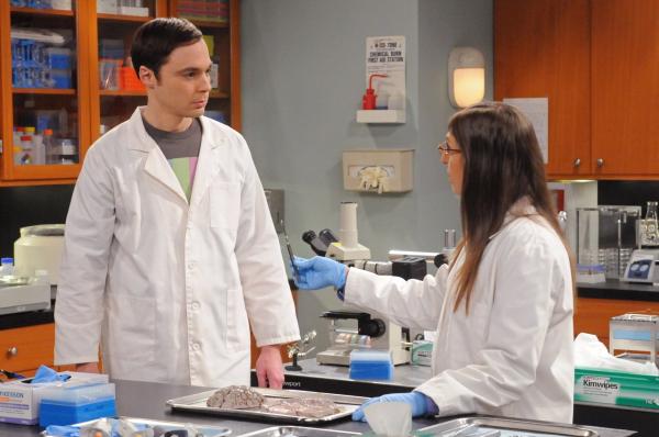 Bild 1 von 23: Während Bernadette möchte, dass Howard einen Ehevertrag unterschreibt, beschließt Sheldon (Jim Parsons, l.) bei Amy (Mayim Bialik, r.) im Labor auszuhelfen, da er gezwungen wurde, endlich seinen Urlaub zu machen ...