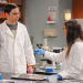The Big Bang Theory
