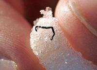 Geheimnisvolle Erde: Eisige Welten