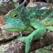 Unbekanntes Madagaskar
