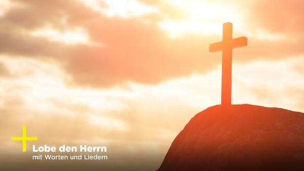 Bild 1 von 1: Verwendung nur in Verbindung mit der Programmkommunikation