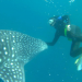 Australiens Nationalparks