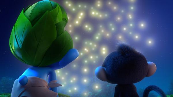 Bild 1 von 1: Wild und Monkey finden, dass Glühwürmchen wie kleine Sterne sind.© KiKA/Peyo Productions, Dupuis Édition & Audiovisuell - Honorarfreie Verwendung gemäß AGB im redaktionellen Zusammenhang mit genannter Sendung bei Nennung \