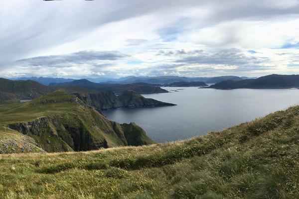 Bild 1 von 8: Blick von der Vogelinsel Runde.