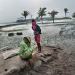 Land Unter
