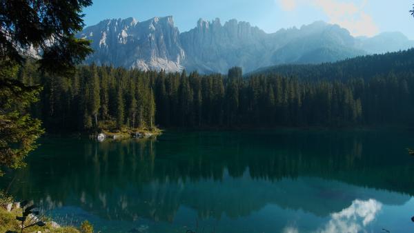 Bild 1 von 5: .