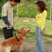 Desperate Housewives