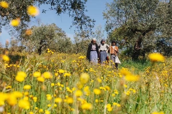 Bild 1 von 8: Drei Hirtenkinder, drei Geheimnisse. Die Geheimnisse von Fátima sind Teile einer Botschaft, die die drei Hirtenkinder Lúcia dos Santos, Jacinta Marto und Francisco Marto am 13. Juli 1917 bei der dritten Marienerscheinung in Portugal laut ihren Aussagen empfangen haben.