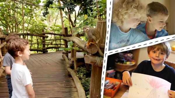 Bild 1 von 2: Kinder malen und basteln zum Thema Dschungel.