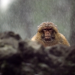 Abenteuer Wildnis