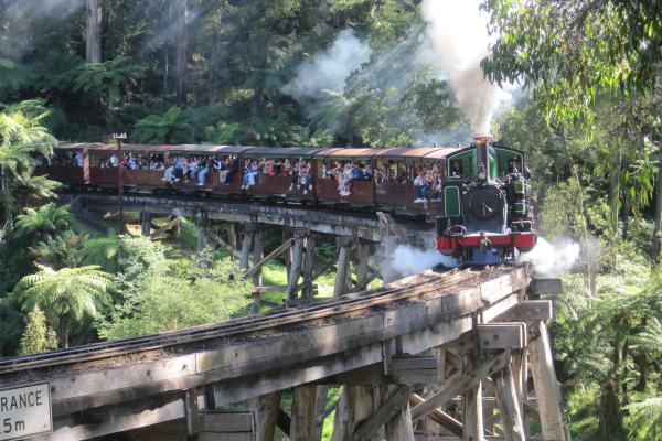 Bild 1 von 1: Das schönste Motiv in Victoria: Puffing Billy auf der Monbulk Creek Brigde.