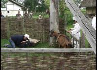 Das Bayerische Jahrtausend