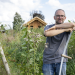 Garten & Lecker