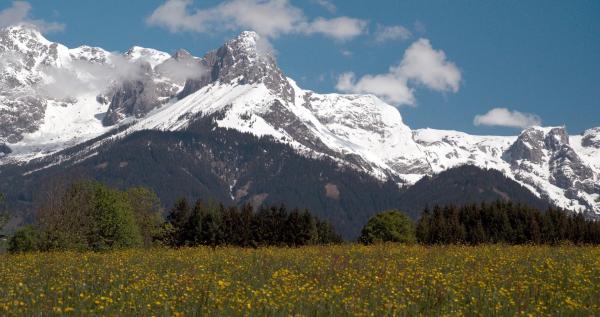 Bild 1 von 16: Im Bild: Wiese am Buchberg.