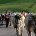 Grand Tour der Schweiz