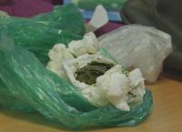 Border Patrol Südamerika: Gefährliche Mission