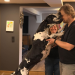 Die großen Hunde - Mit Martin Rütter