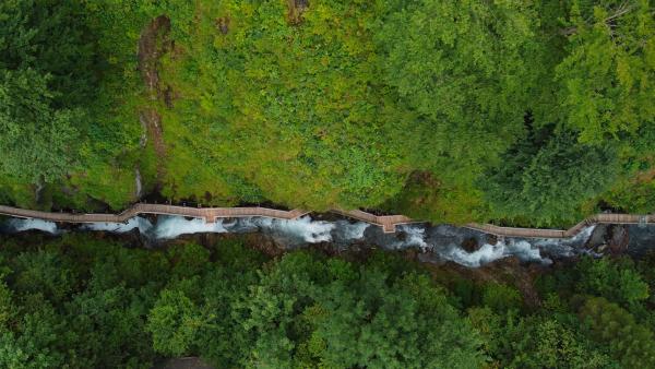Bild 1 von 12: .