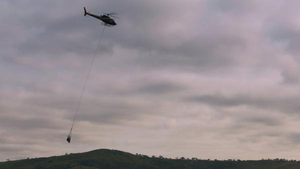 Bild 1 von 15: Da Spitzmaulnashörner so selten geworden sind, dass sie kaum noch Paarungspartner finden, wurde ein Schutzprogramm der besonderen Art ins Leben gerufen. Die stark gefährdeten Tiere werden betäubt und per Helikopter zu einem möglichen Partner geflogen.