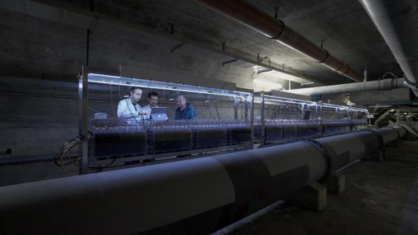 Bild 1 von 1: Biotechnologie der Zukunft: Aus Abwasser können Bakterien Strom produzieren.