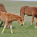 Welt der Tiere
