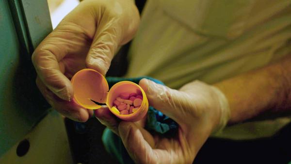 Bild 1 von 3: Häftling Michael Surtees ist dem Wachpersonal bereits als Schmuggler bekannt.