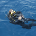 Expedition ins Unbekannte