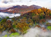 Unser grüner Planet