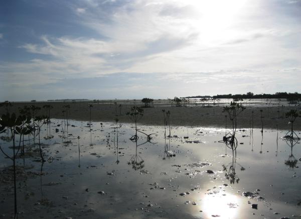 Bild 1 von 5: Strahlende Sonne auf den Philippinen