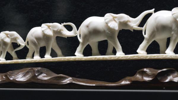 Bild 1 von 5: Elfenbein - so edel wie umstritten