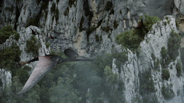 Bild 1 von 4: Die Geschichte der Erde lässt sich auf wenigen Zentimetern Stein ablesen. Die Schichten decken die Geheimnisse der Evolution auf.