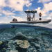 Die Wächter des Great Barrier Reef - Die Meeresgiganten