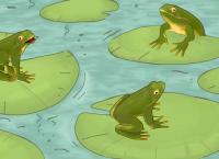 Meine Freundin Conni