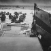 Der Zweite Weltkrieg in Zahlen: D-Day