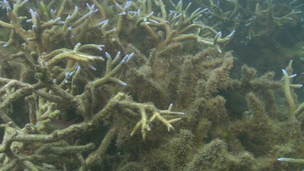 Bild 1 von 9: .