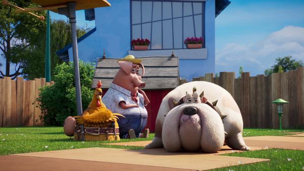 Bild 1 von 2: Hündin Bertha ruft die Coop Troop zur Hilfe, da der freche Kater Prinz es sich auf ihrem Sofa gemütlich gemacht hat.