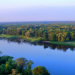Unsere Wälder - Die Wasserwälder der Mittelelbe