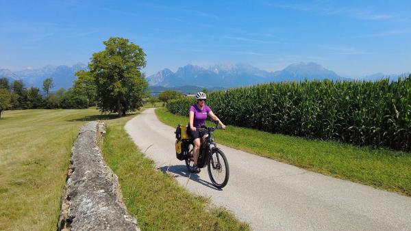 Bild 1 von 1: .
