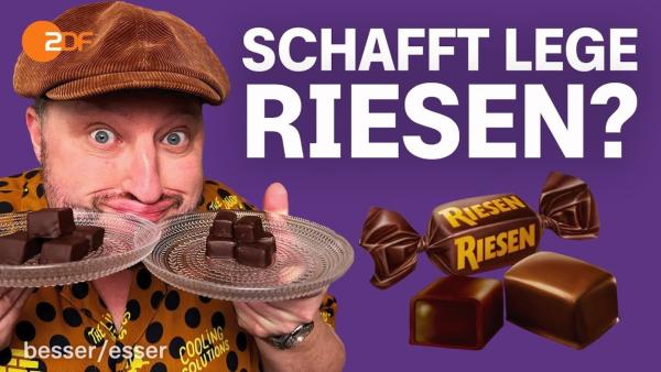 Bild 1 von 3: Schafft Lege Riesen?