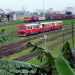 Mit dem Zug durch Kamerun