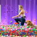 Top Dog Germany - Der beste Hund Deutschlands
