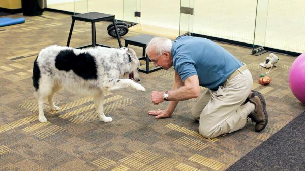 Bild 1 von 9: Im Bild: John Pilley und seine Hündin Chaser haben mit ihren Erkenntnissen über die Intelligenz von Hunden die Wissenschaft revolutioniert.