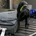 Border Patrol Ireland - Einsatz an der Grenze