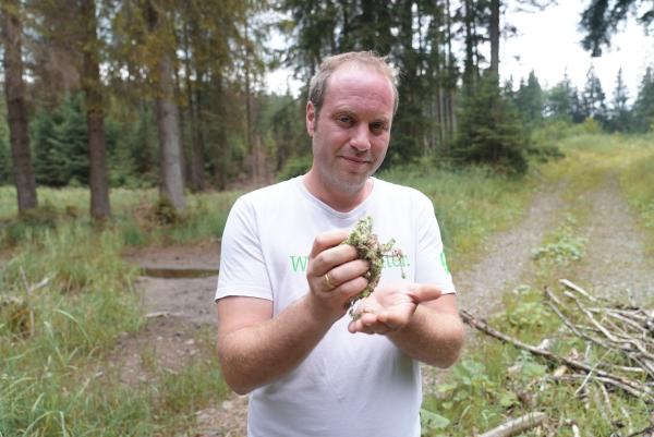 Bild 1 von 6: Förster Sebastian Neubauer zeigt: Das Moos im Kempter Wald ist ausgetrocknet.