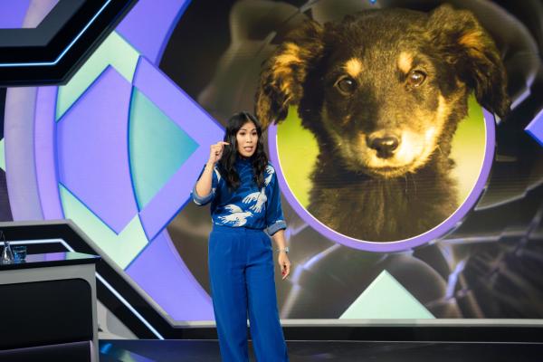 Bild 1 von 7: Manche Ängste vor konkreten Auslösern lässt sich auch wieder abkonditionieren: Zum Beispiel bei Extinktion.