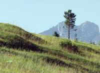 Bayerns Naturdenkmäler