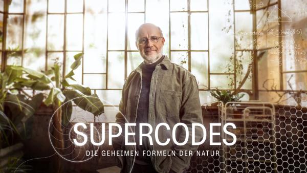 Bild 1 von 15: In der zweiteiligen Terra X-Dokumentation \